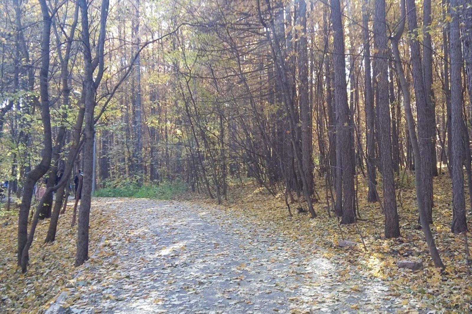 Фото автора.