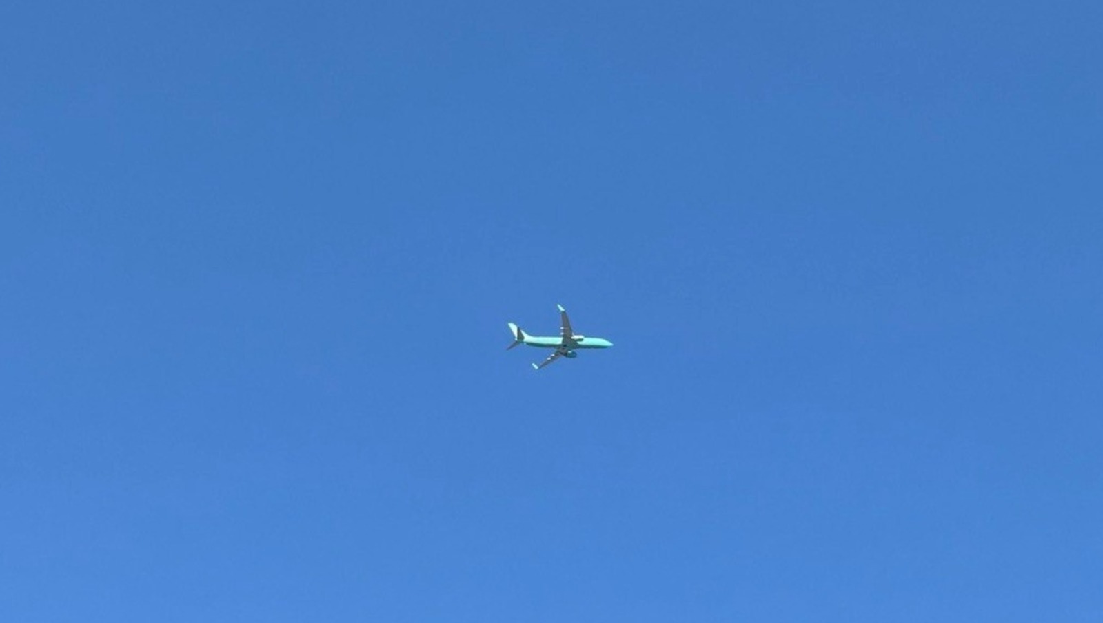 Елены Колоколовой.