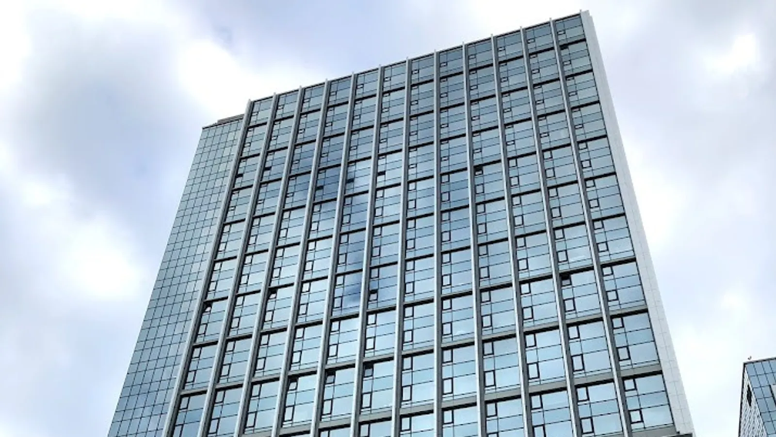 Елены Колоколовой.