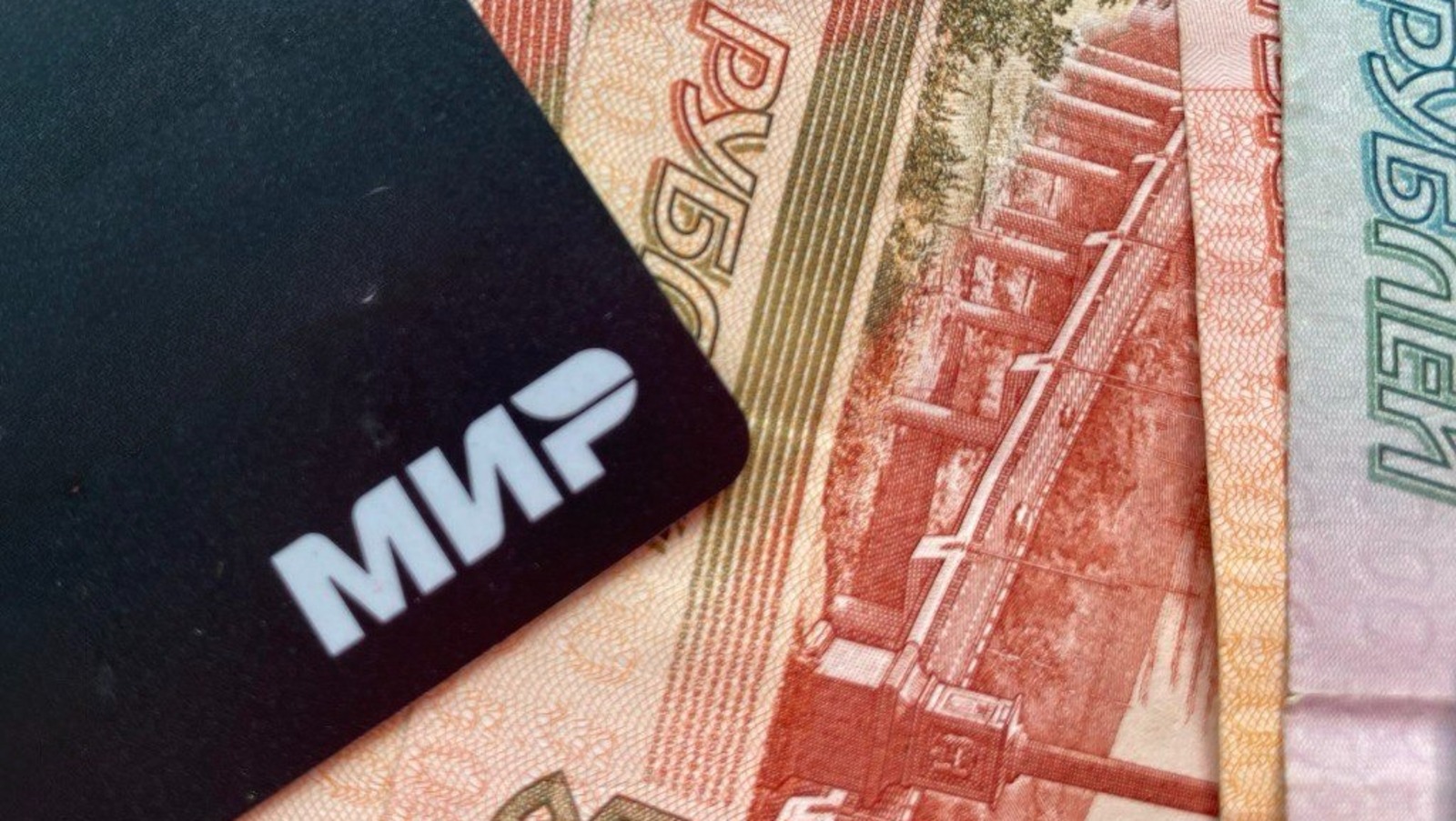 Елены Колоколовой.  «Общественная электронная газета».