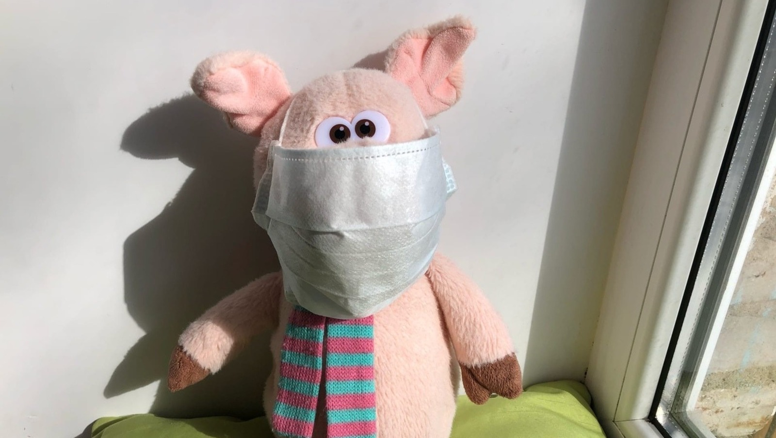 Елены Колоколовой.