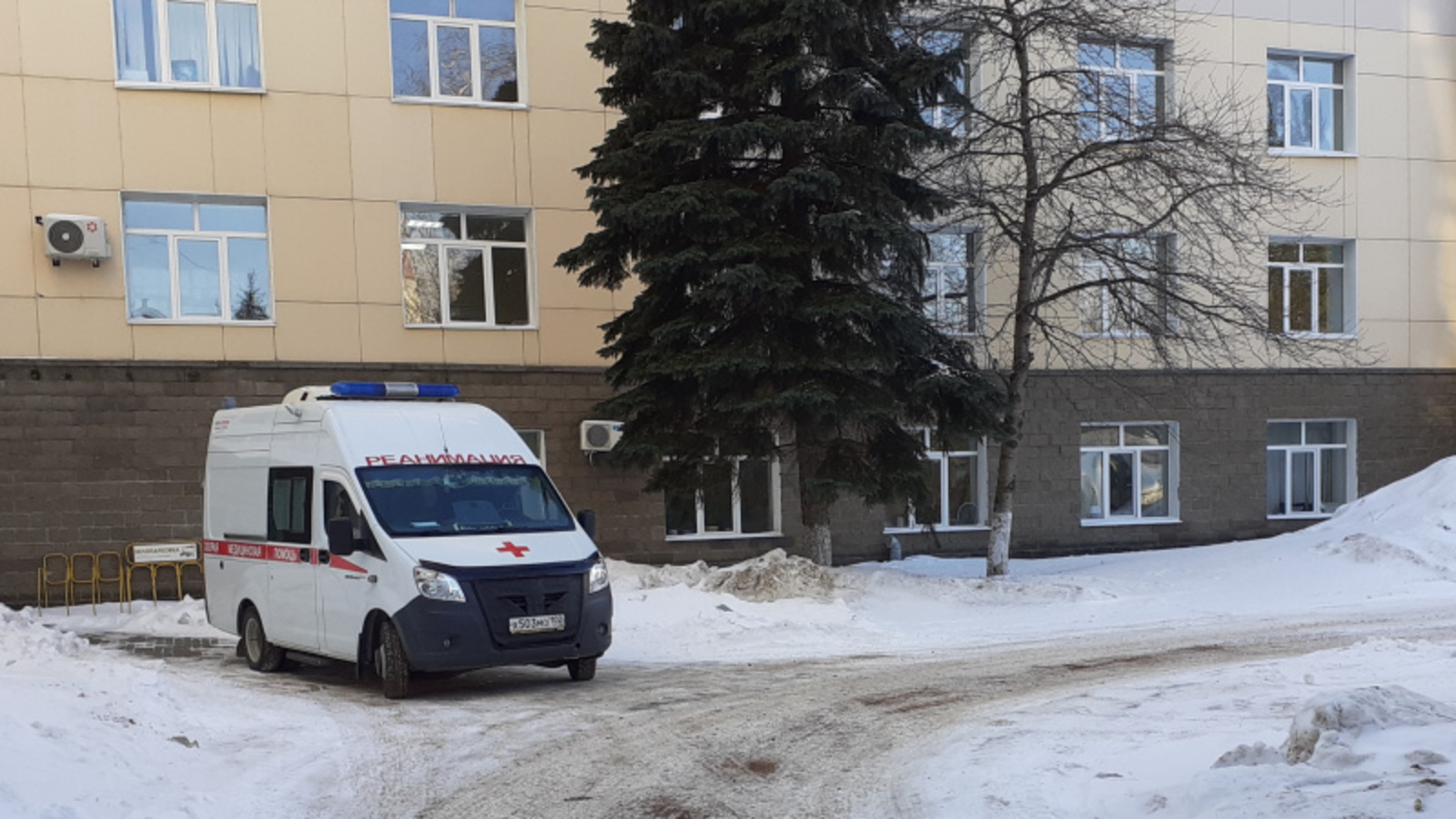 Фото автора.