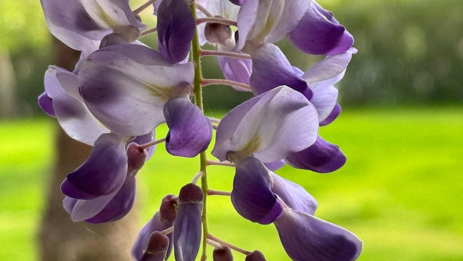 Елены Колоколовой.  «Общественная электронная газета».