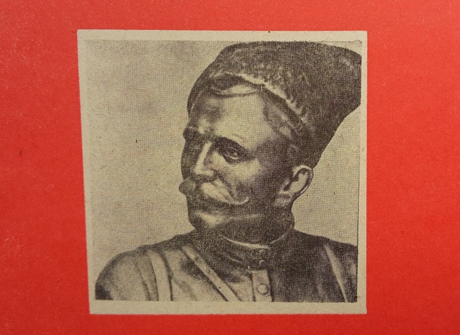 Фото автора.