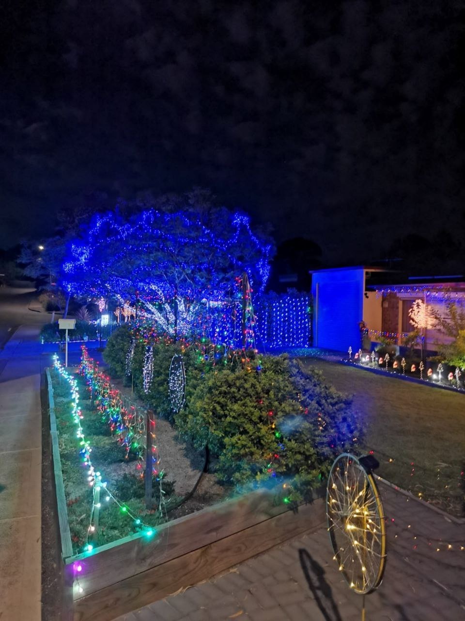 предоставлено Ольгой Калининой. предоставлено Ольгой Калининой.