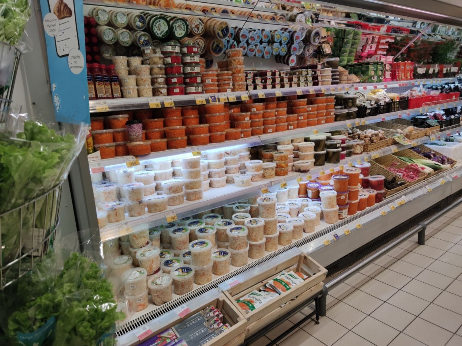 Дарьи Святохиной. «Общественная электронная газета».