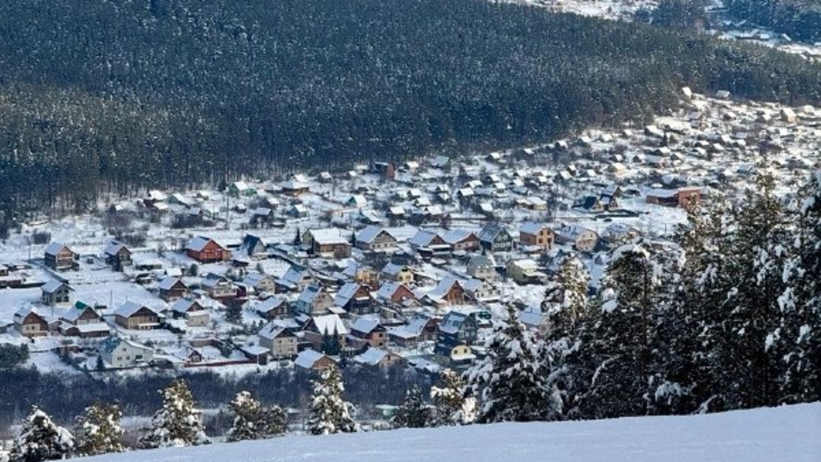Елены Колоколовой. «Общественная электронная газета».