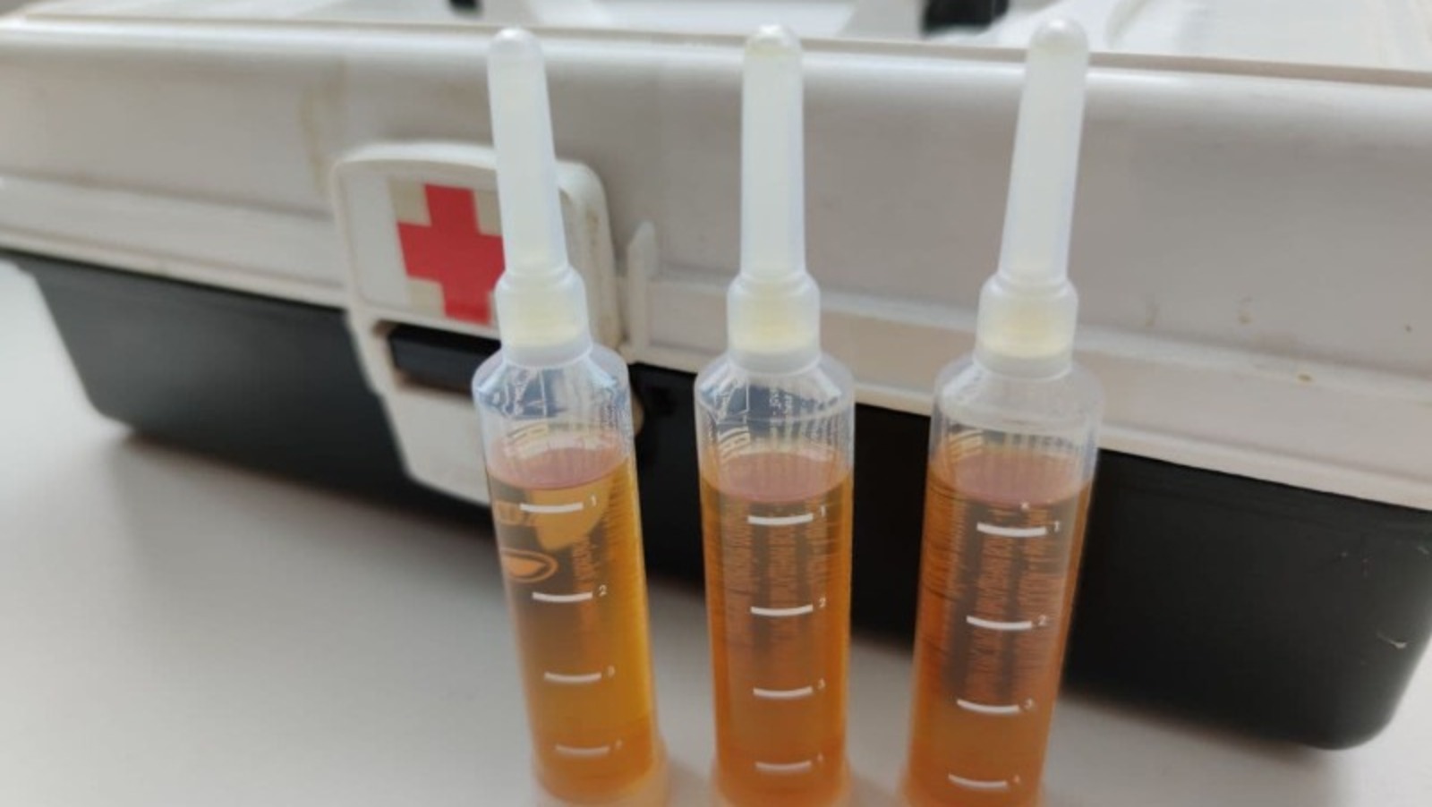 Дарьи Святохиной.