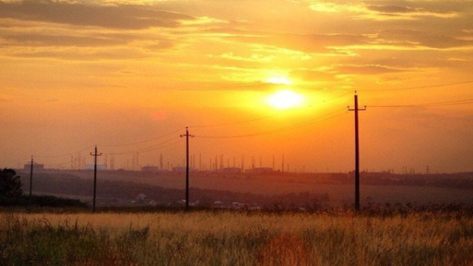 Елены Колоколовой.