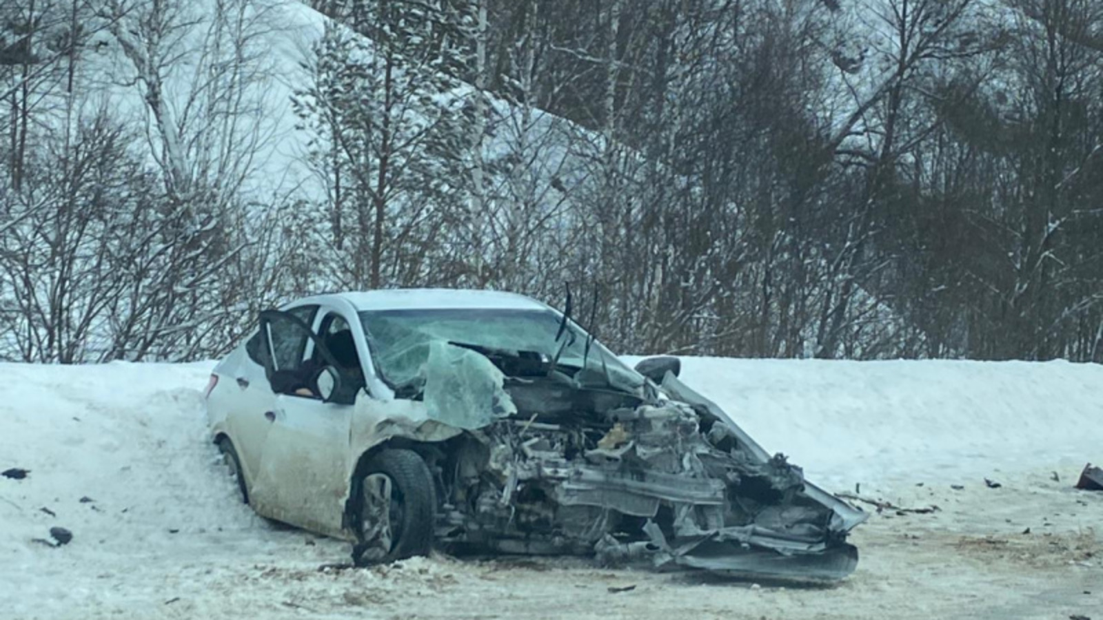 Фото Елены Колоколовой.