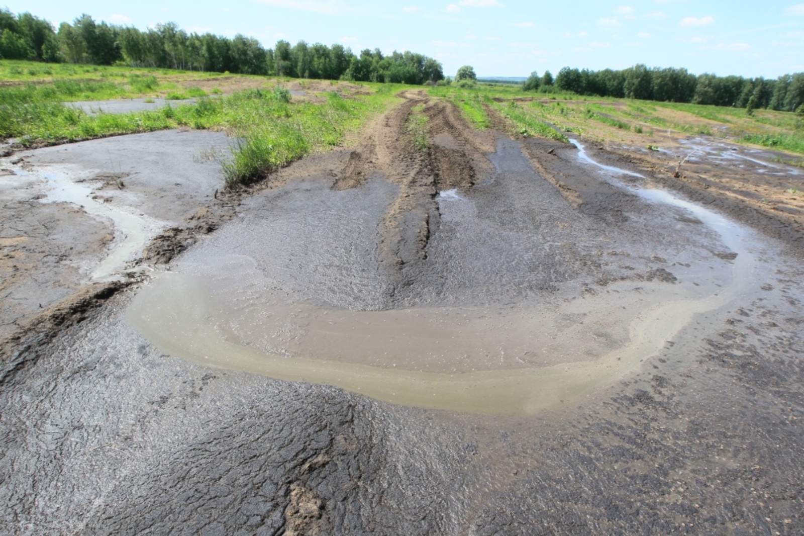 Фото Андрея Старостина.