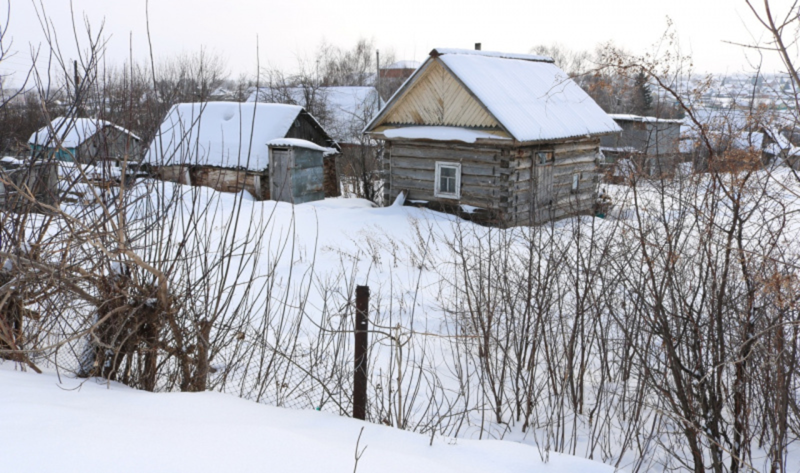 Фото Фарида Гильмиярова.