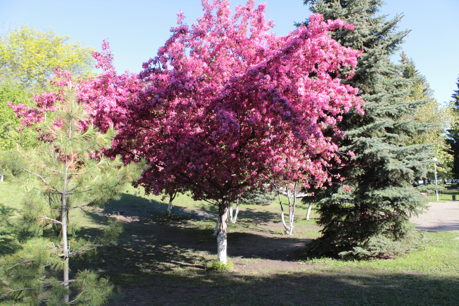 Дарьи Святохиной. «Общественная электронная газета».