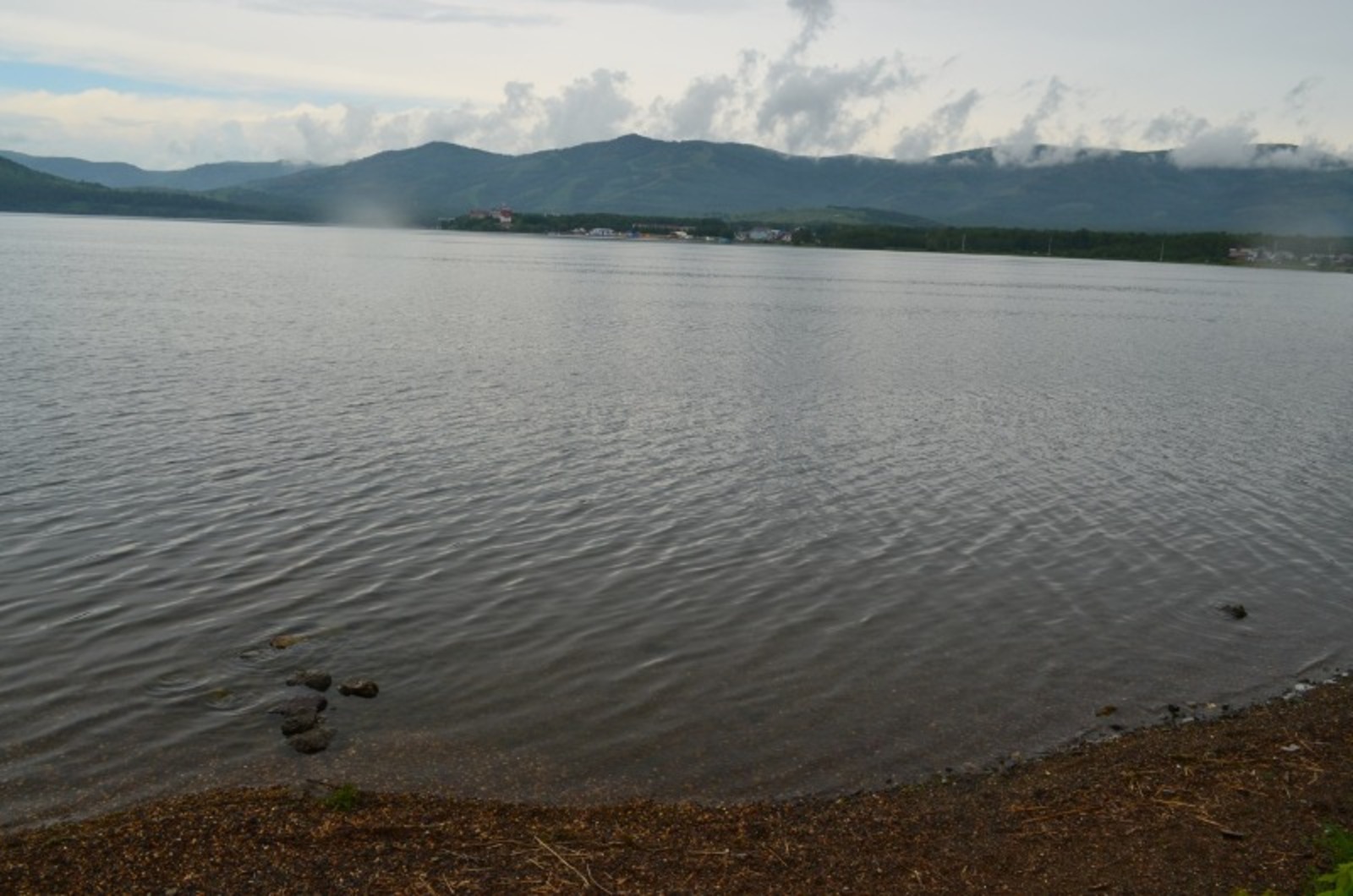 Владимира Шакиева.