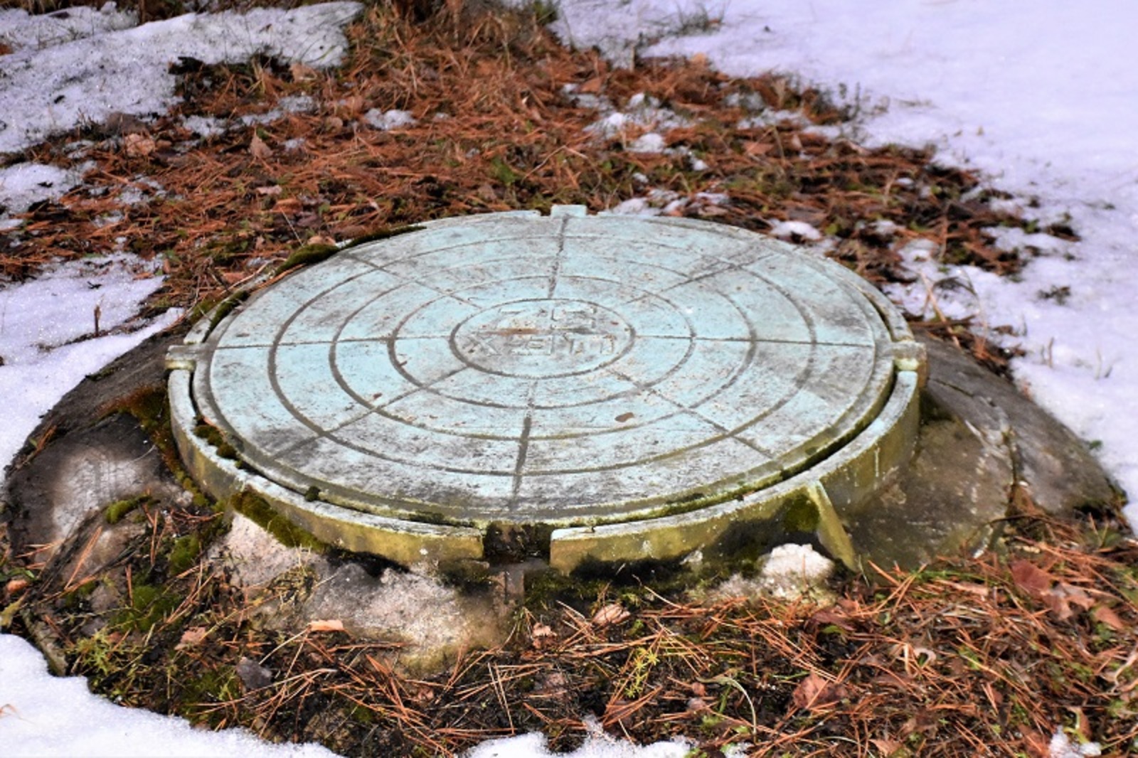 Фото Елены Колоколовой.