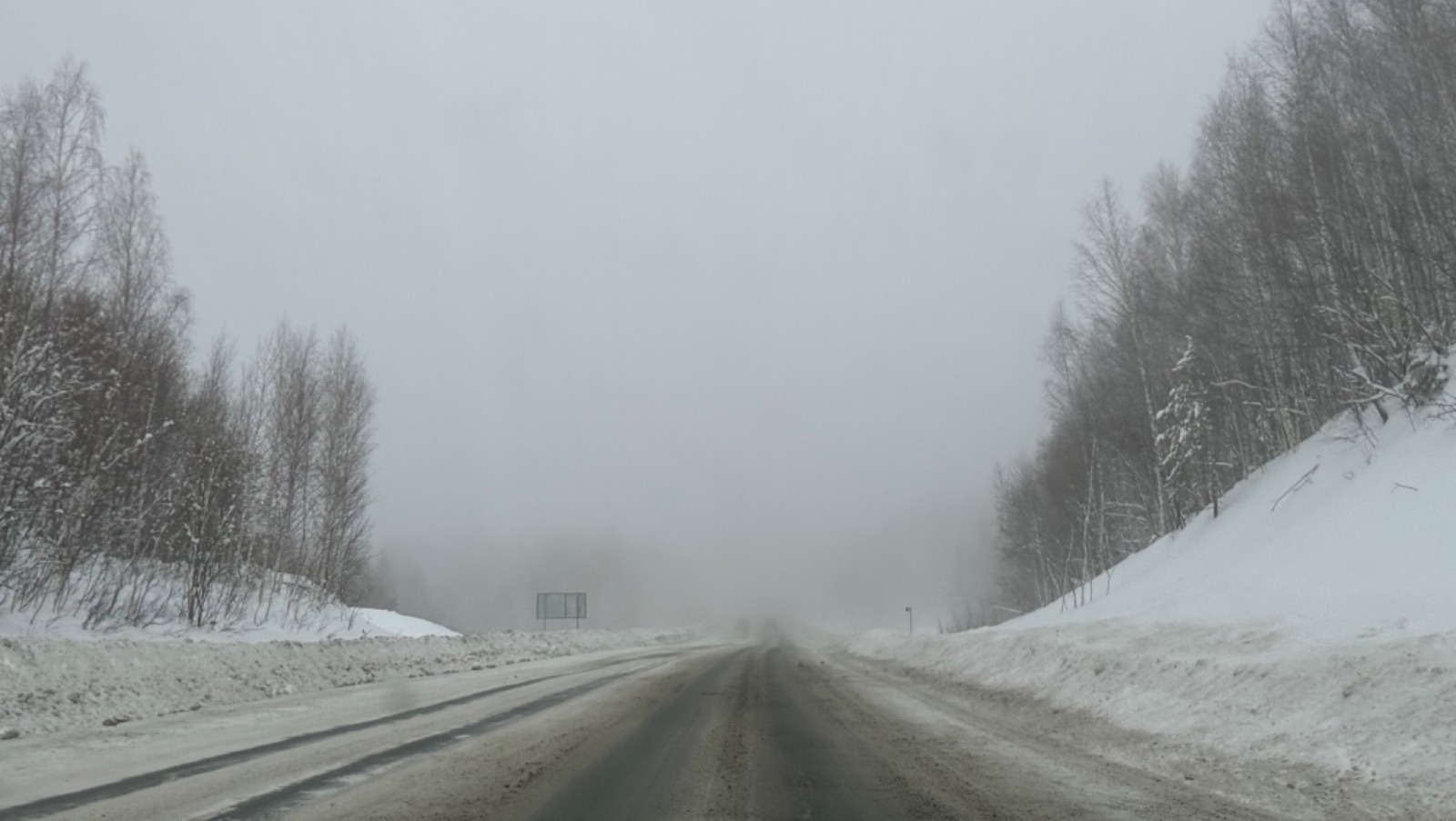 Елены Колоколовой.