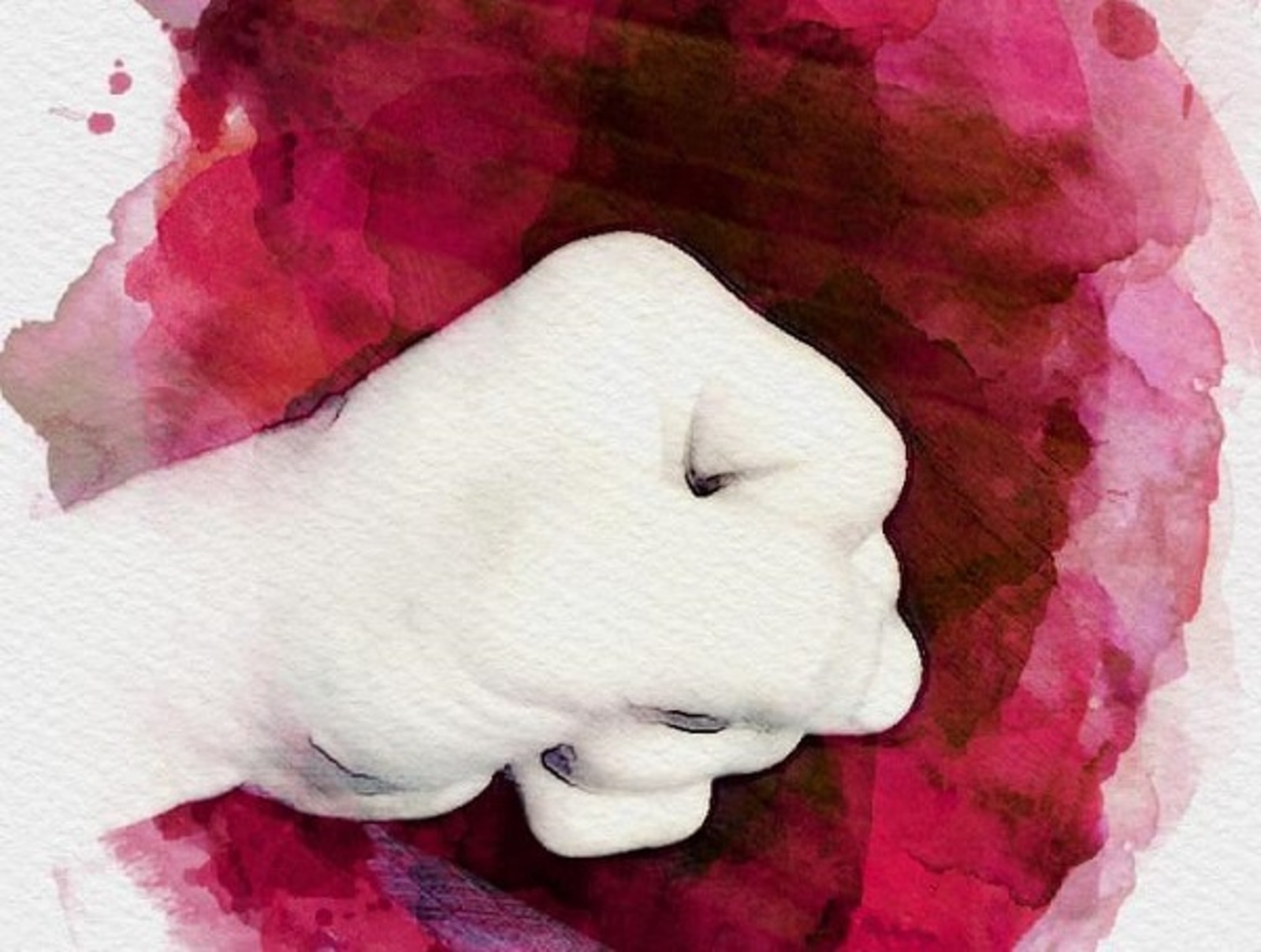 Фото  Раиля Латыпова.