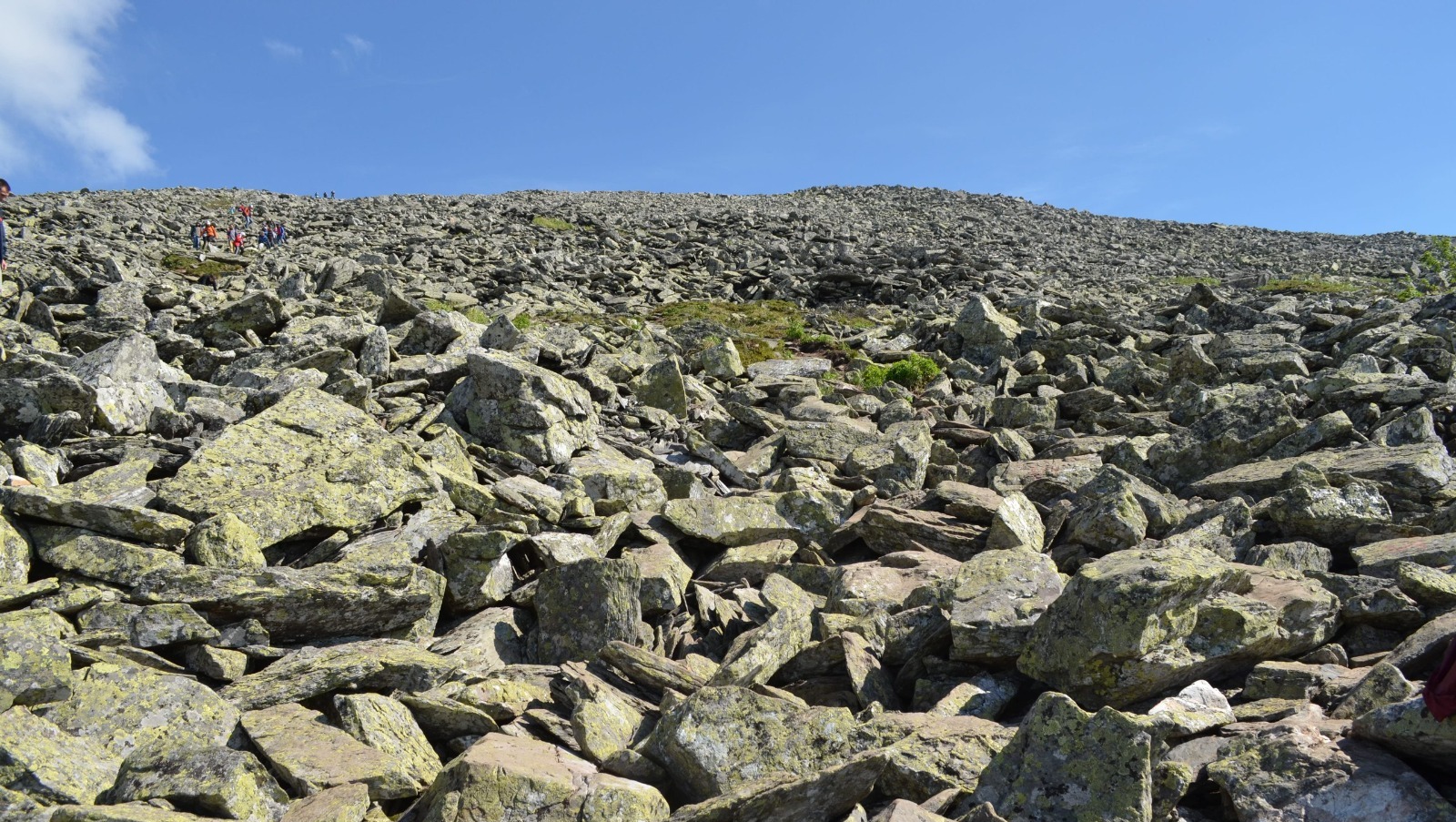 Владимира Шакиева.