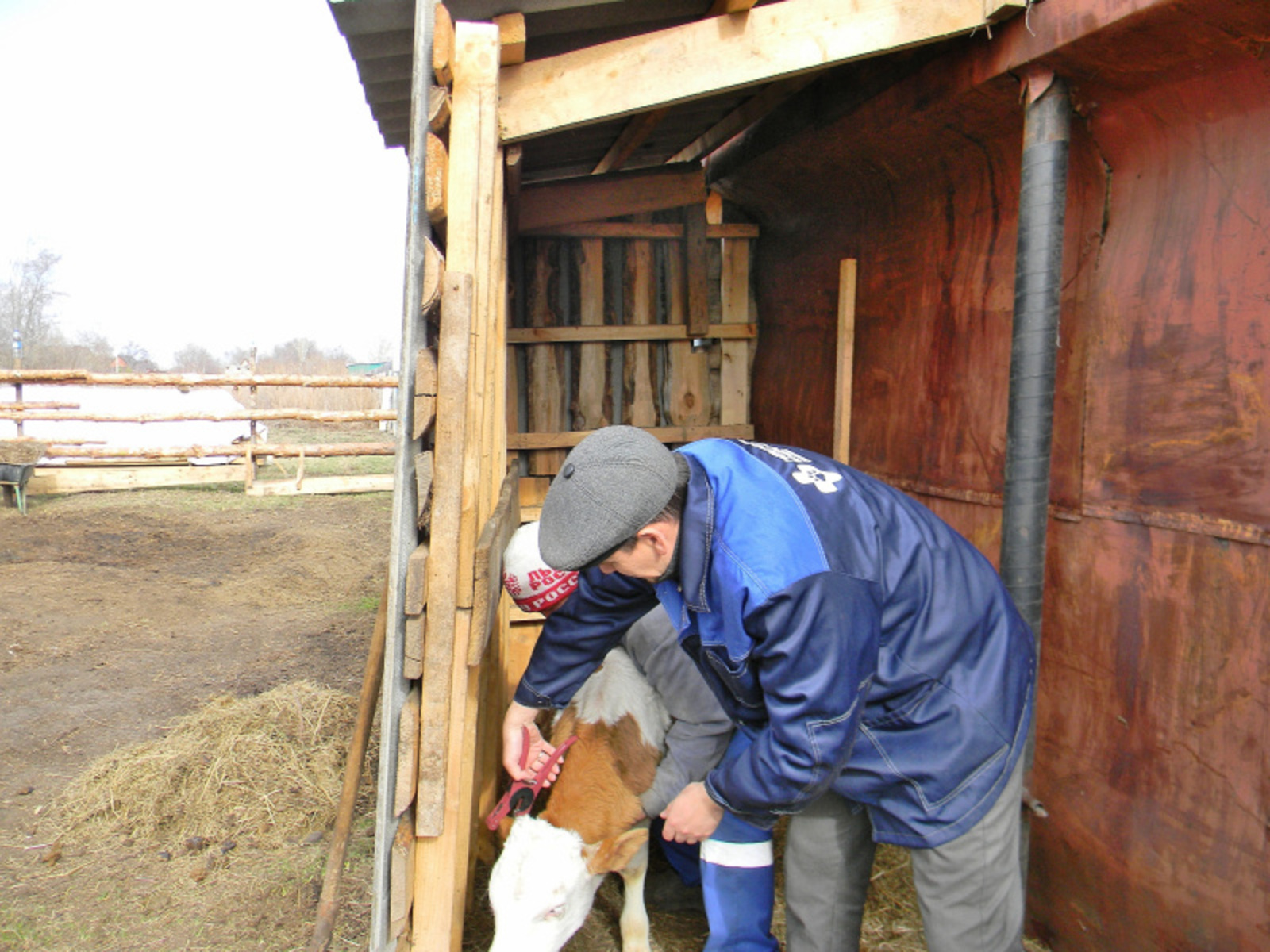 Фото предоставлено автором.
