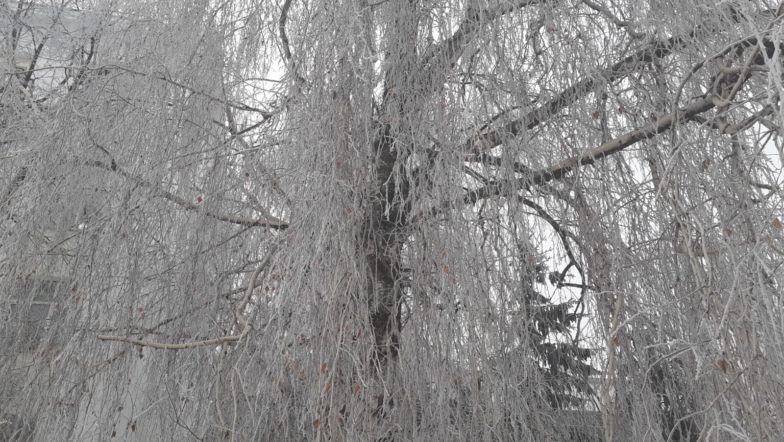 Владимира Шакиева. «Общественная электронная газета».
