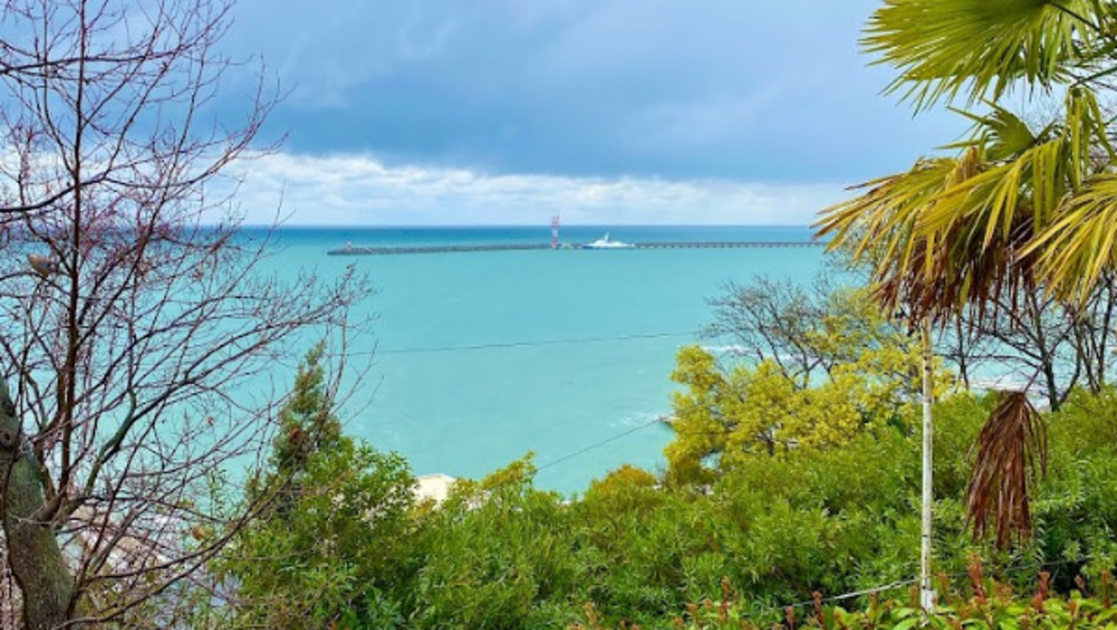 Елены Колоколовой.