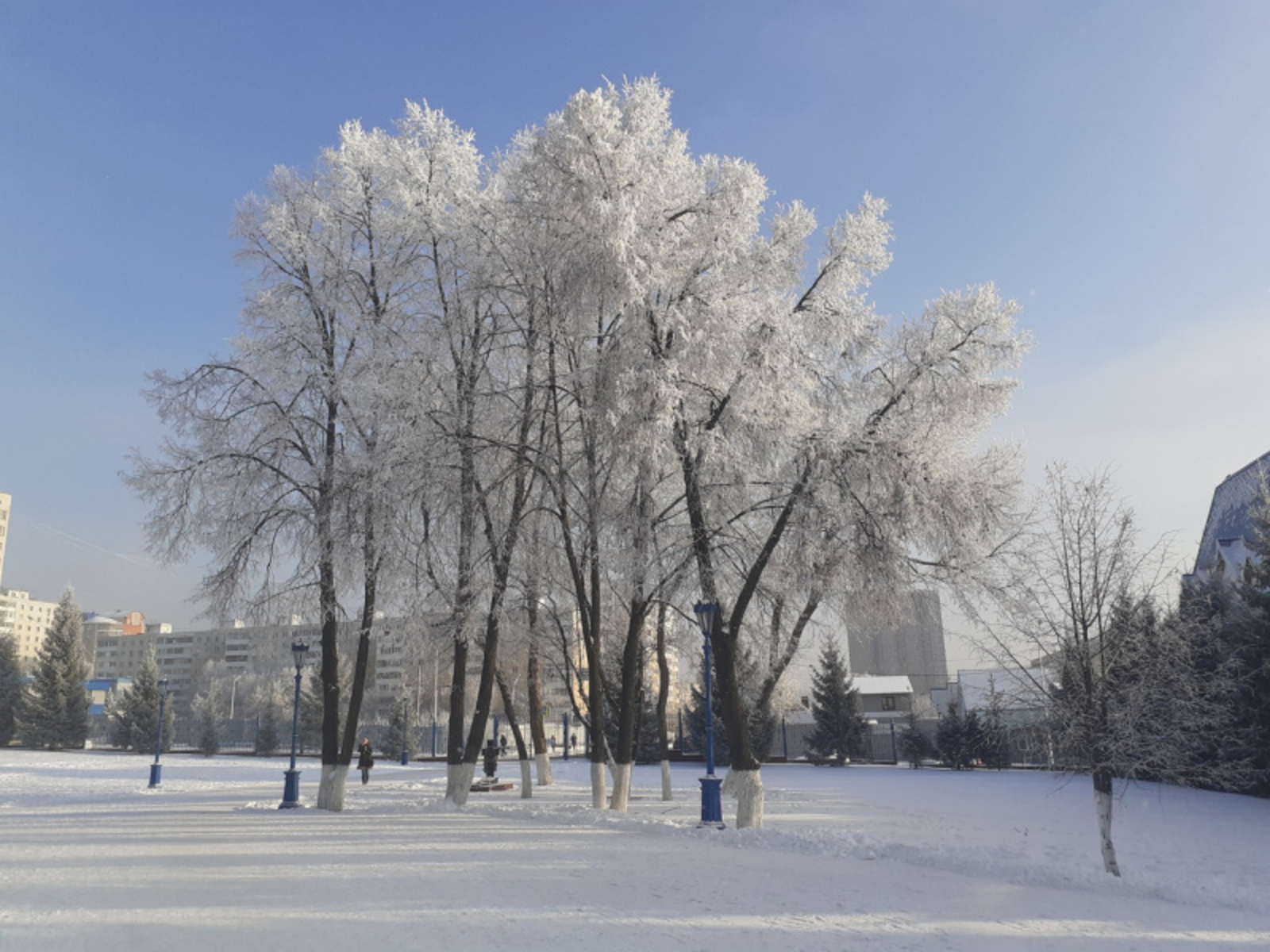 Фото автора.