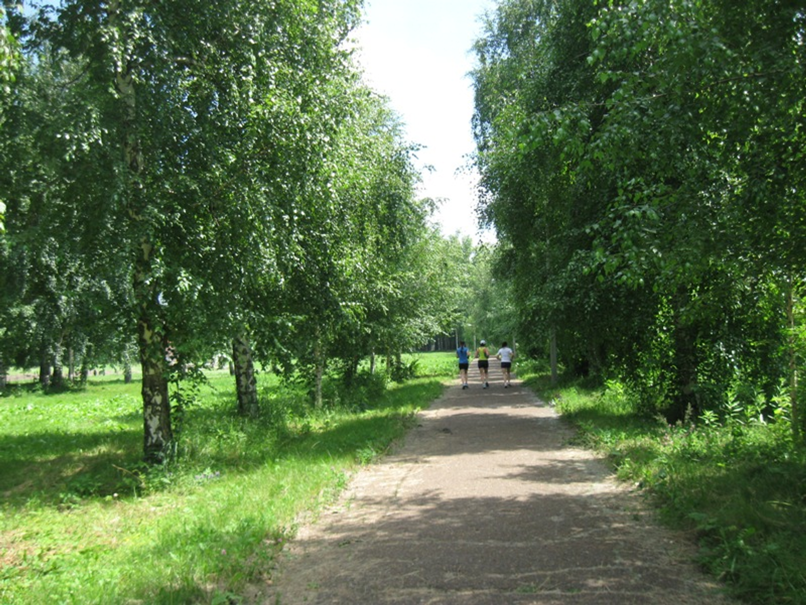 Фото автора.