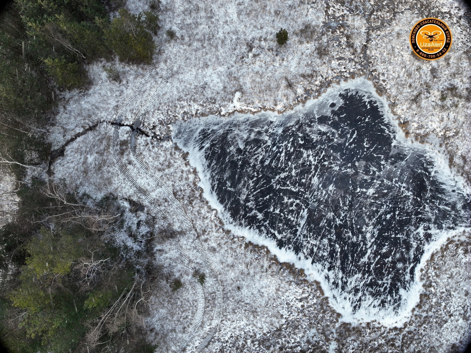 Дарьи Святохиной. «Общественная электронная газета».