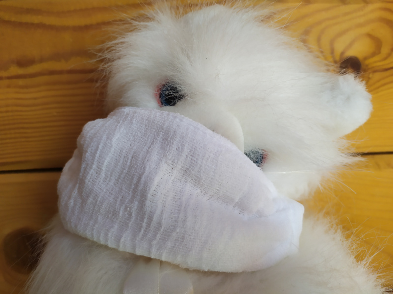 Фото Васили Саитовой.