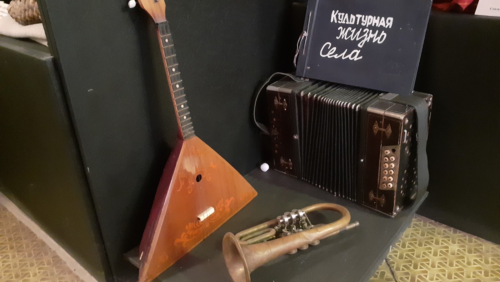 Владимира Шакиева.