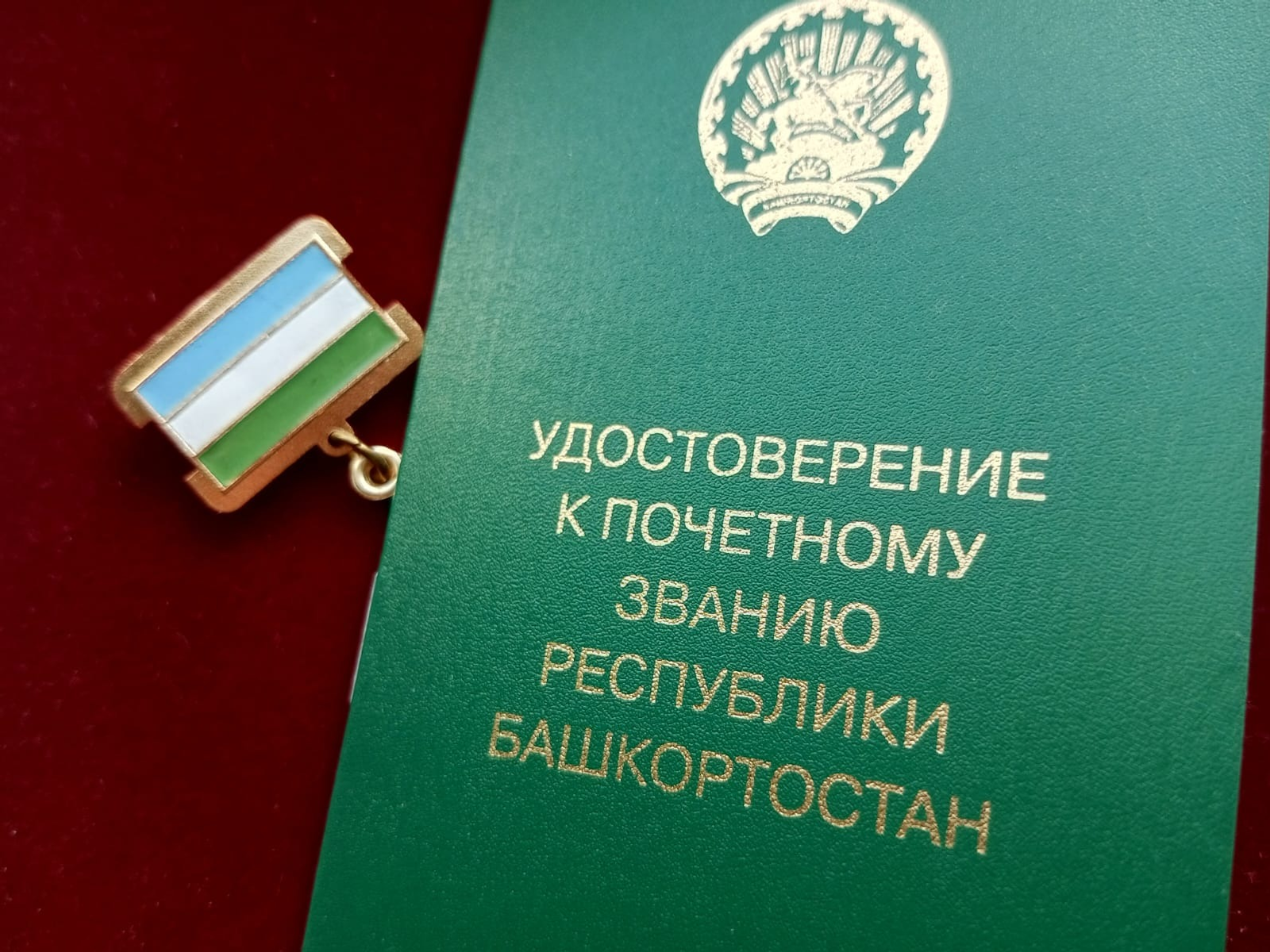 Евгении Сюткиной.