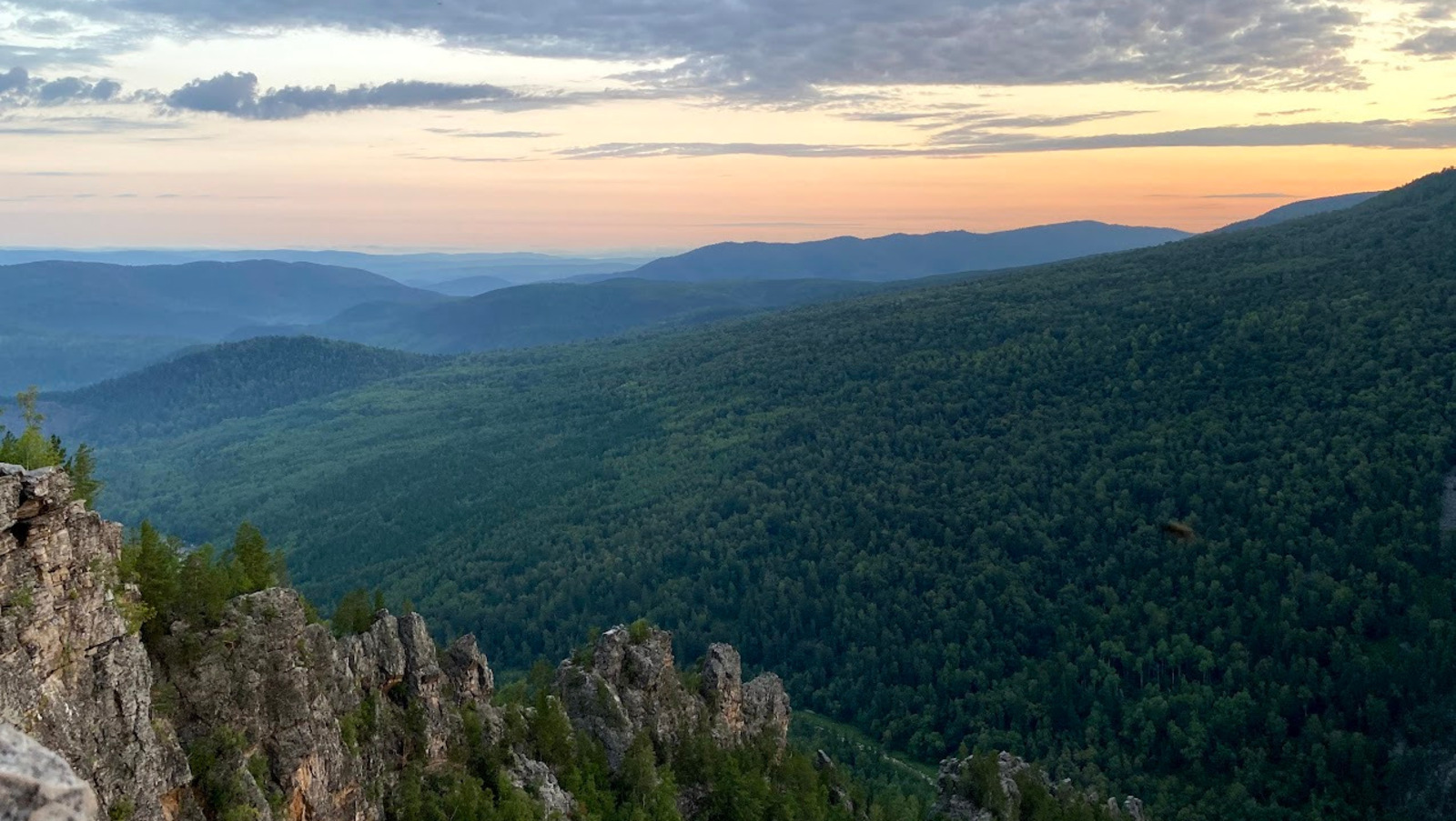 Елены Колоколовой.