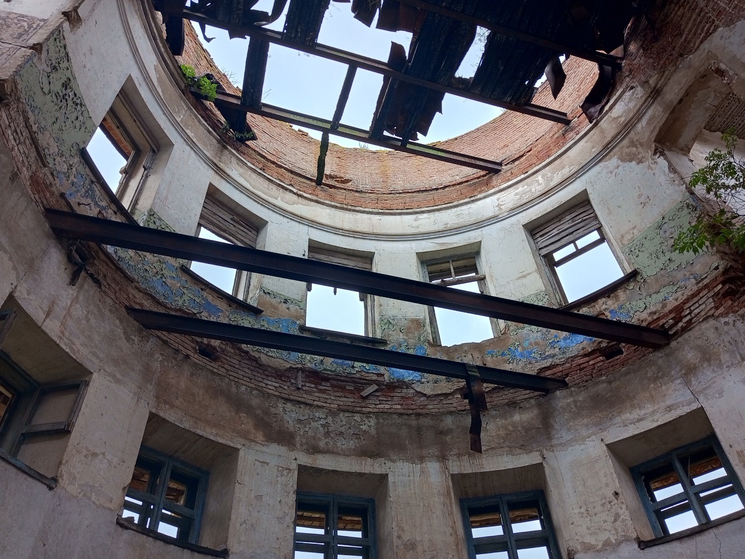 Евгении Сюткиной. «Общественная электронная газета»