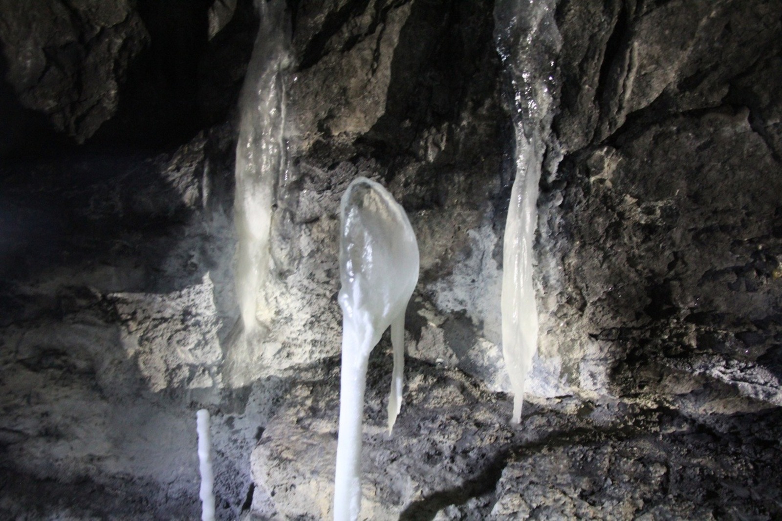 Евгении Сюткиной.