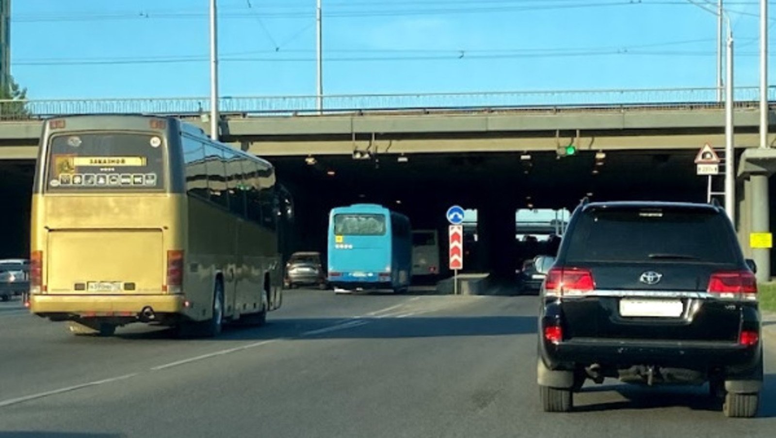 Елены Колоколовой.