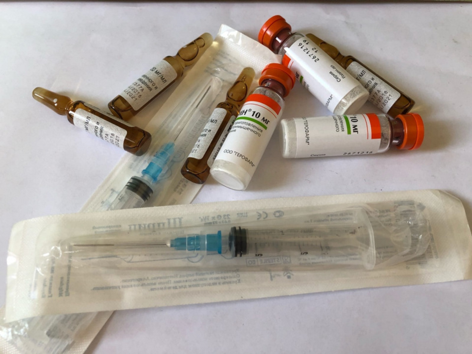 Фото Елены Колоколовой.