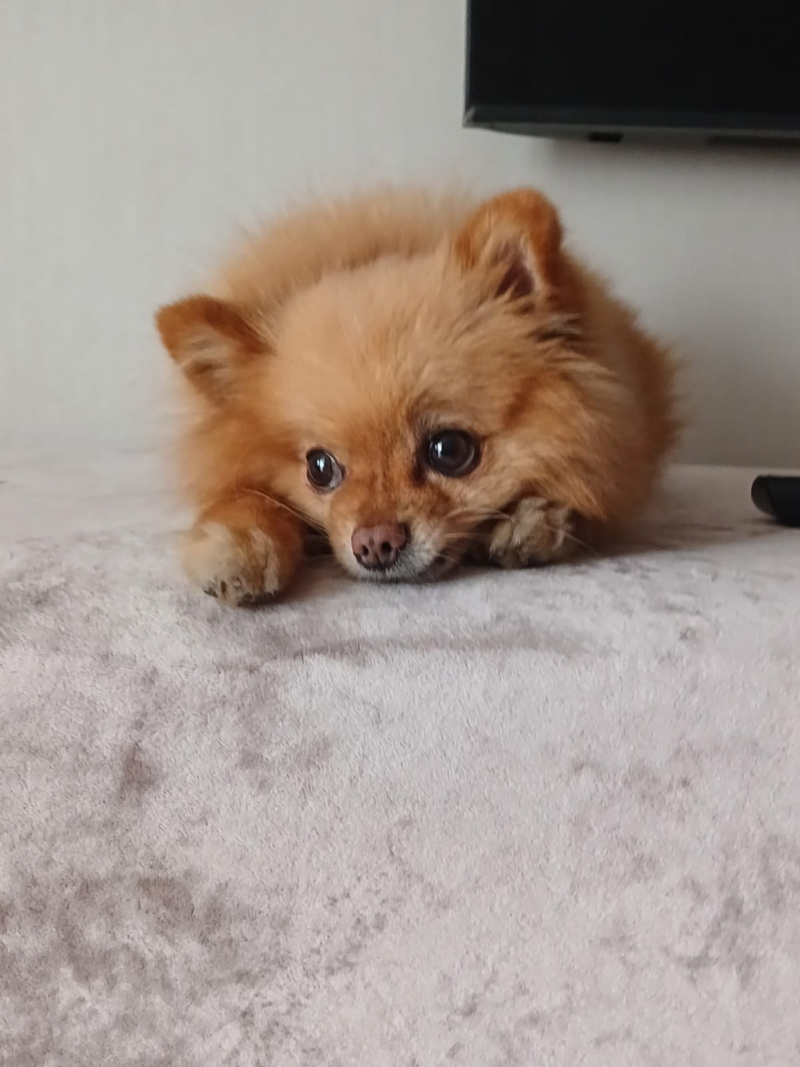 Васили Саитовой.