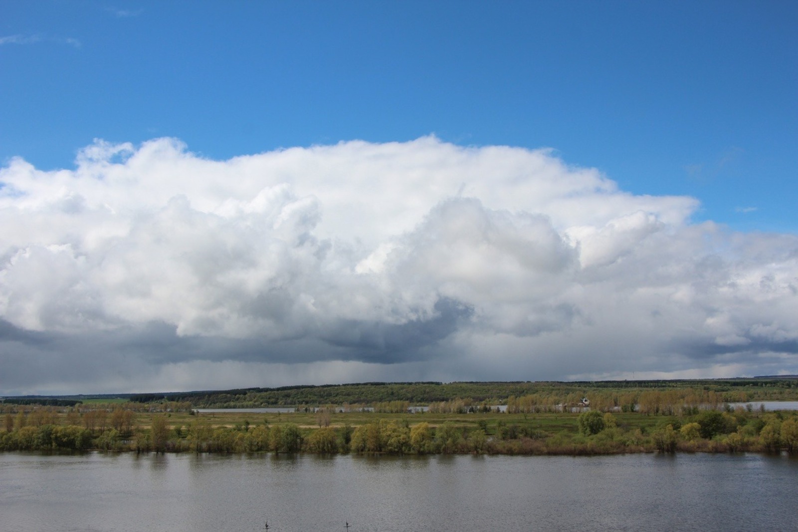 Евгении Сюткиной.