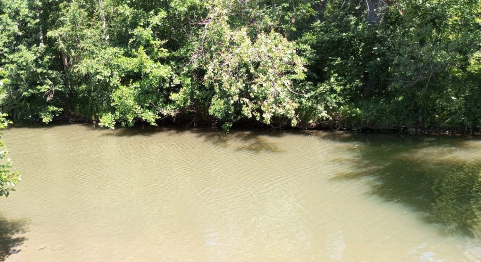 Евгении Сюткиной.