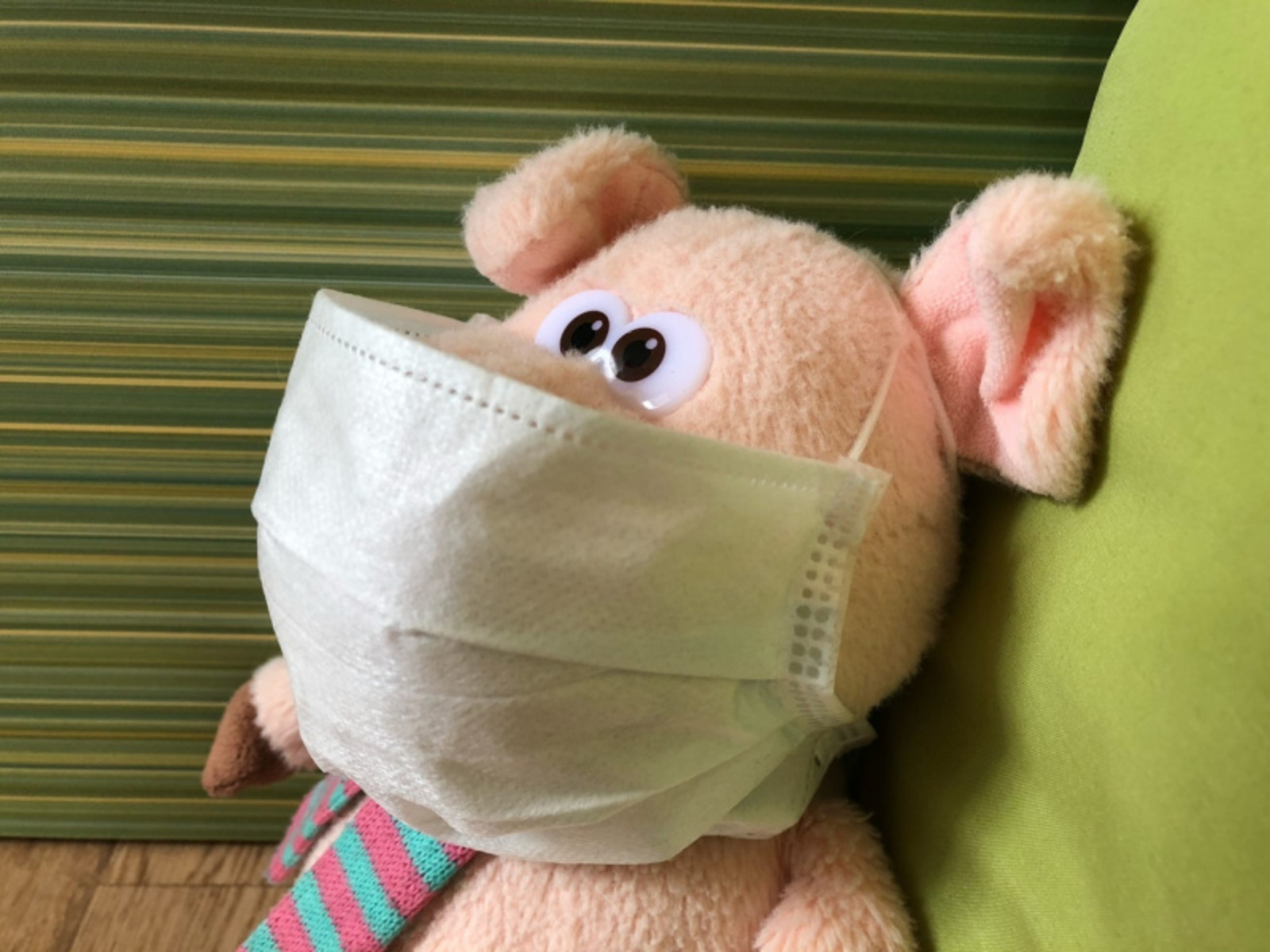 Фото автора.