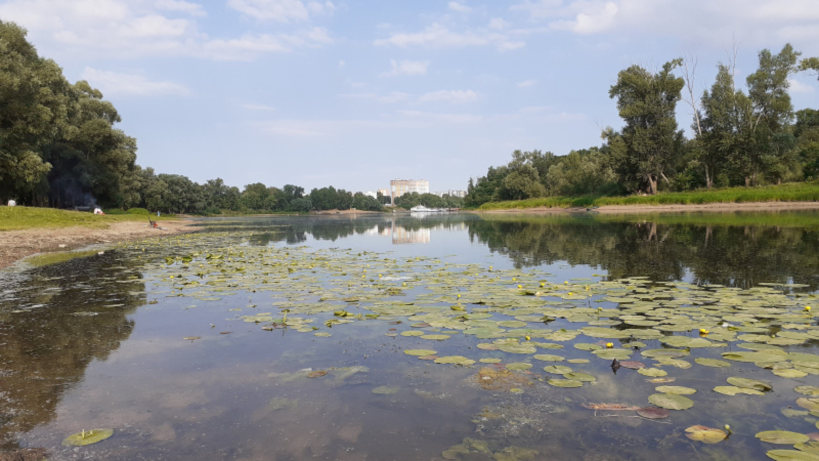 Фото автора.