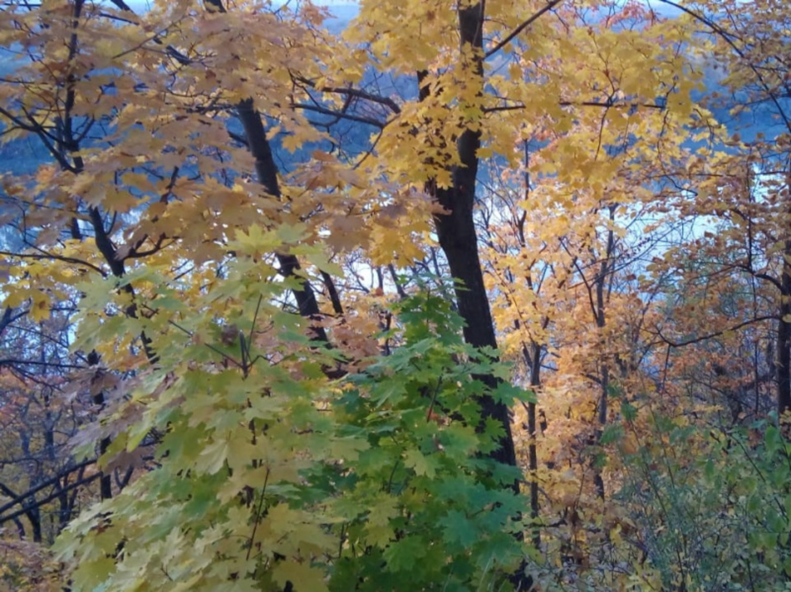Фото Евгении Сюткиной.