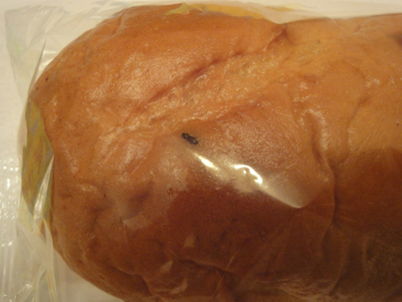 Фото предоставлено автором.