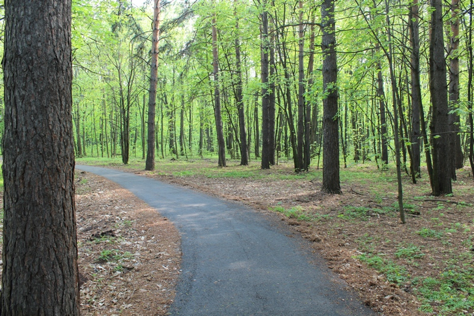 Фото автора.