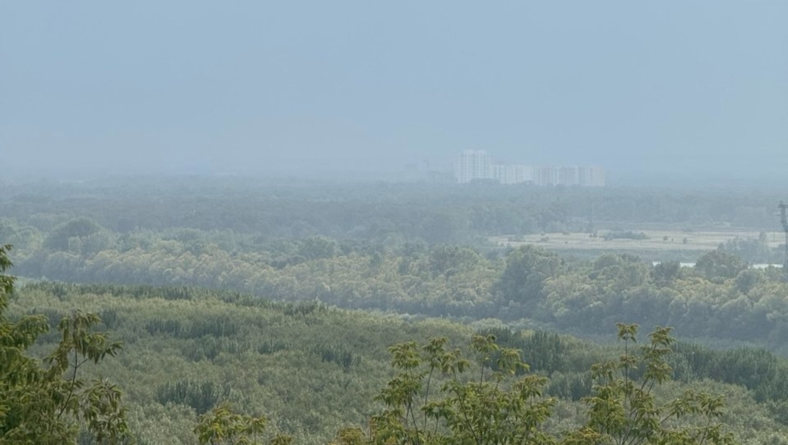 Елены Колоколовой.