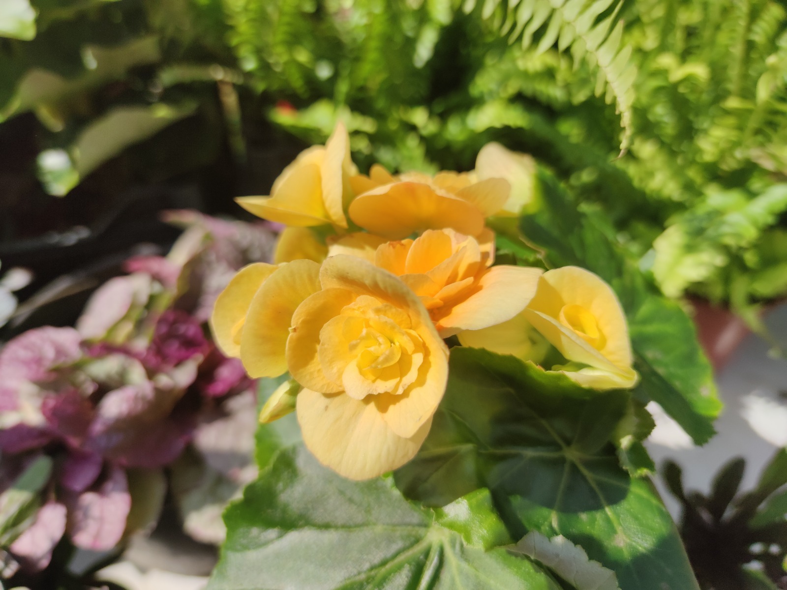 Дарьи Святохиной.