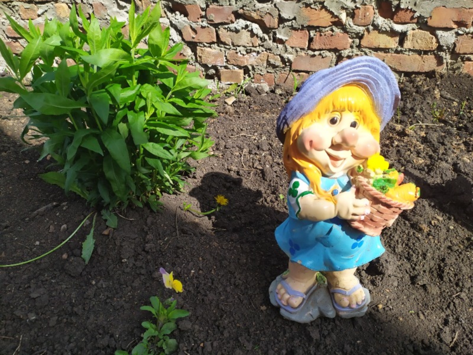 Васили Саитовой.