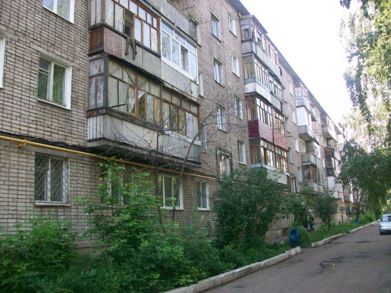 Фото предоставлено Натальей Караваевой.