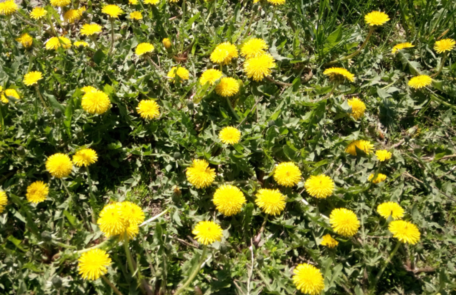 Фото Васили Саитовой.