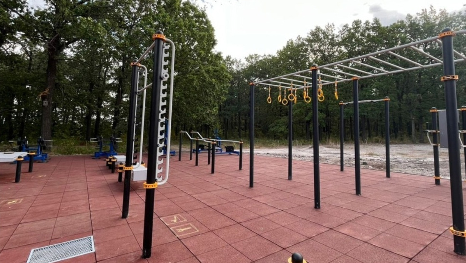 со страницы Радия Хабирова в соцсетях.